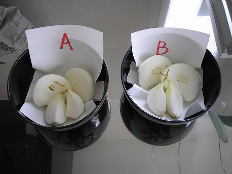 5. ＡＢ断面　比較 縮小.JPG